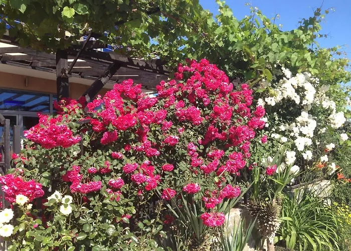 Szálloda Afrodita 2*